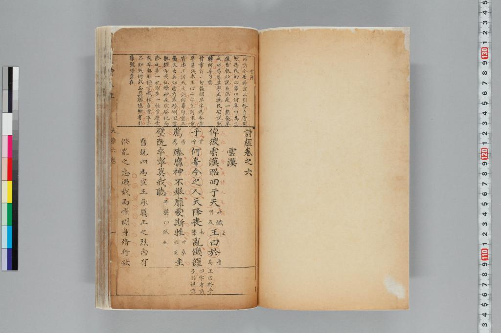 標準画像へ