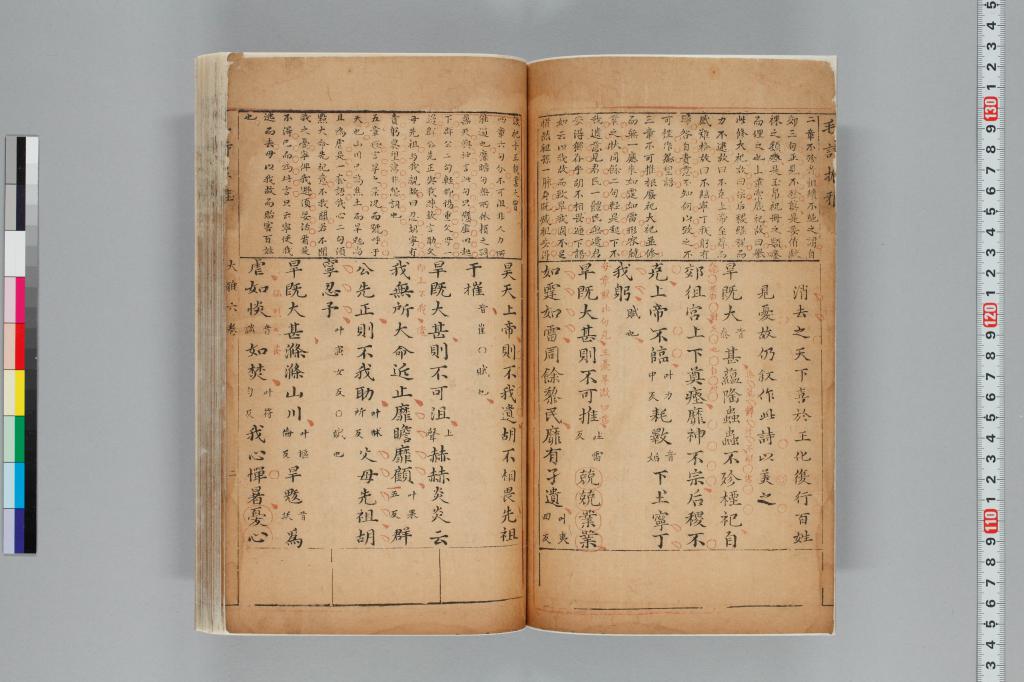 標準画像へ