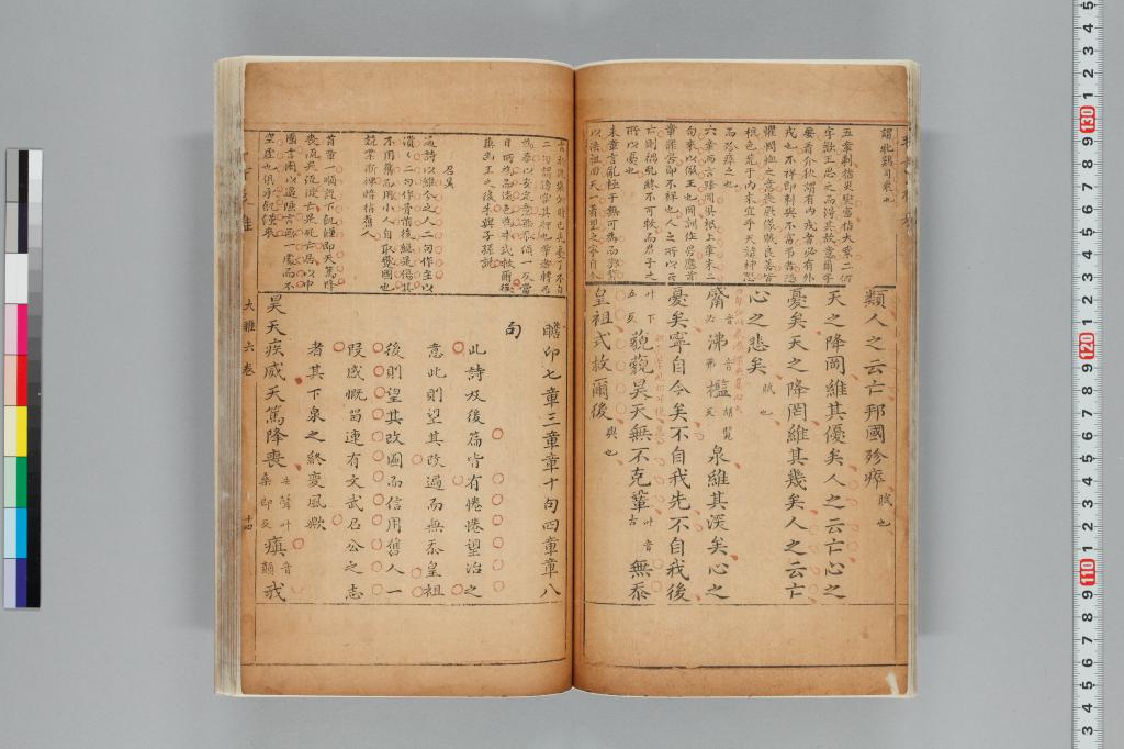 標準画像へ