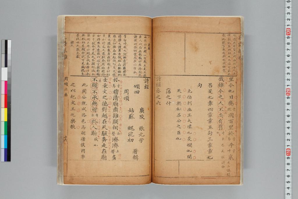 標準画像へ