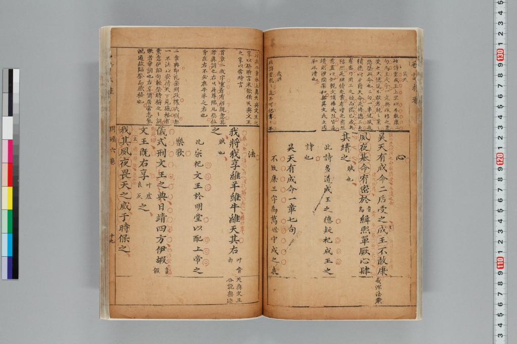 標準画像へ