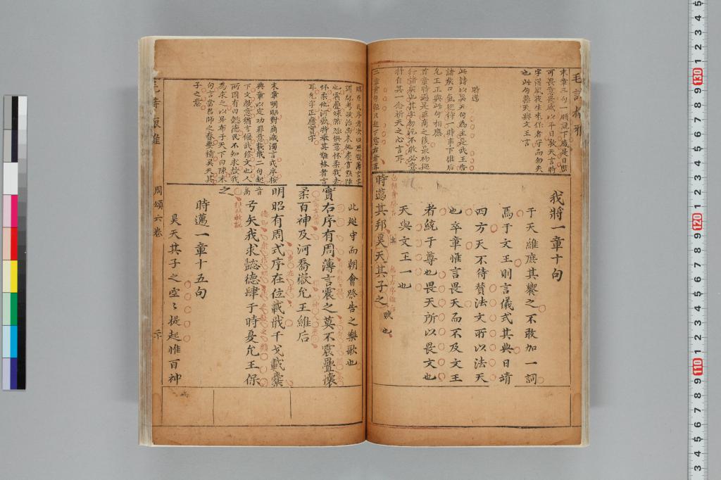 標準画像へ
