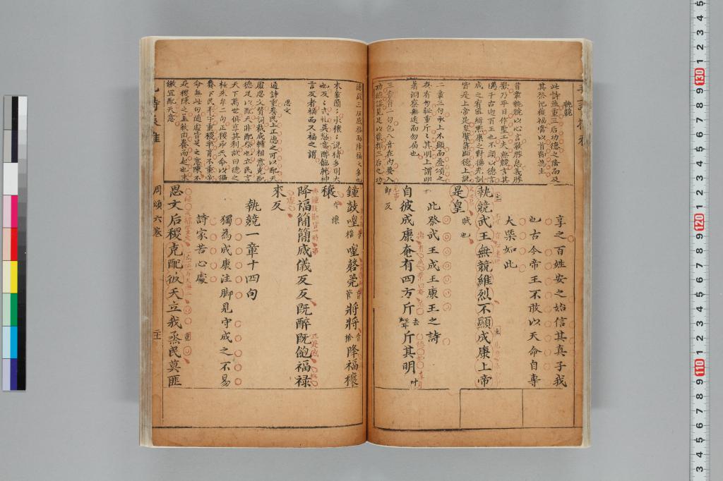 標準画像へ