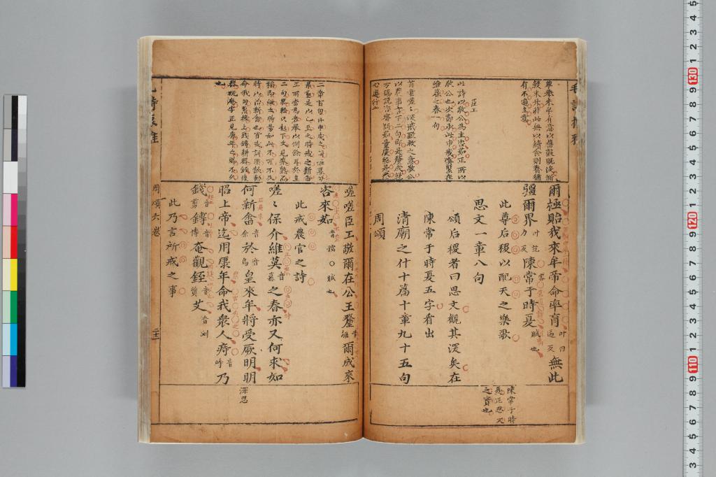 標準画像へ