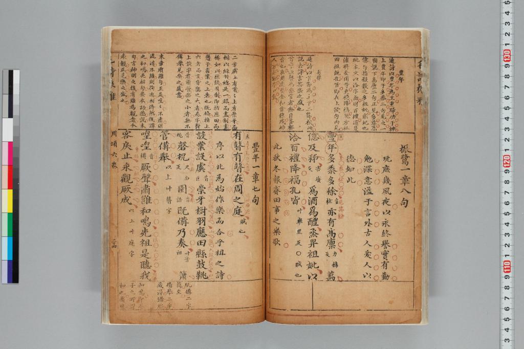標準画像へ