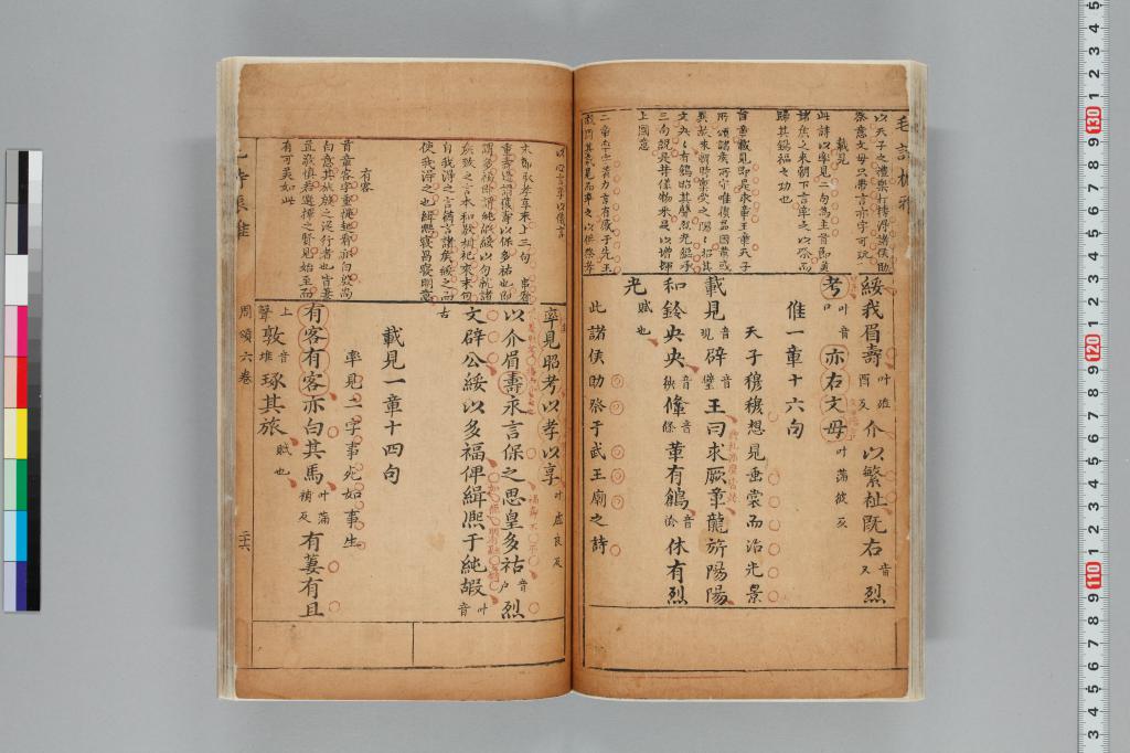 標準画像へ