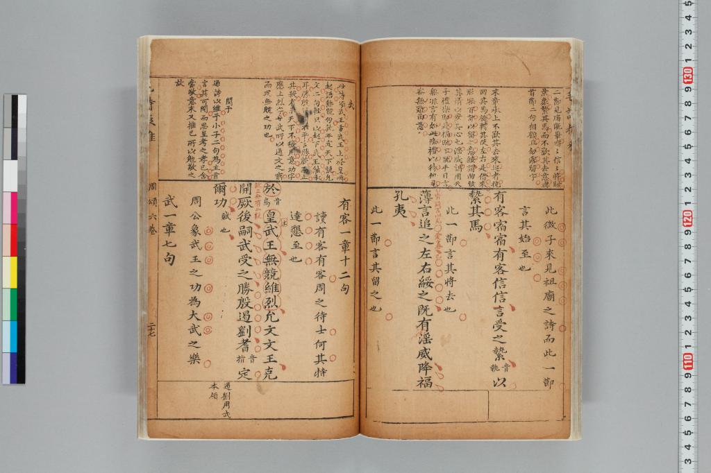 標準画像へ