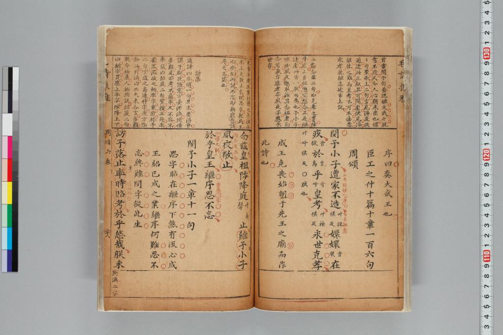 標準画像へ