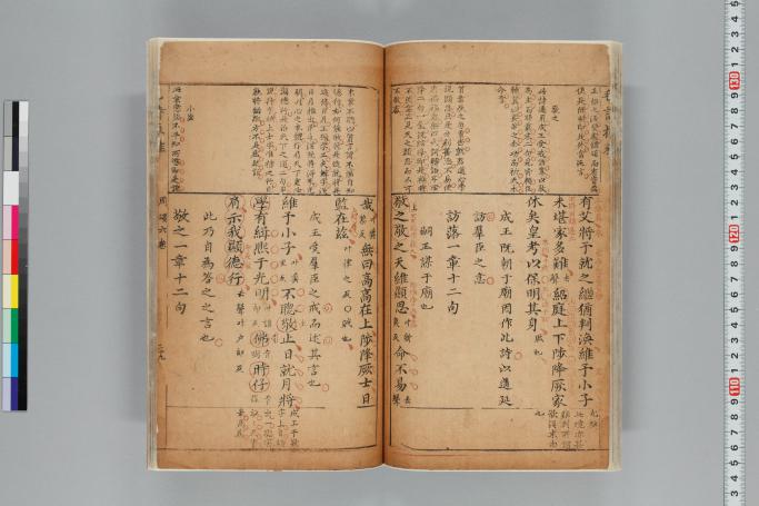 拡大画像へ