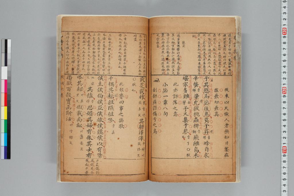 標準画像へ