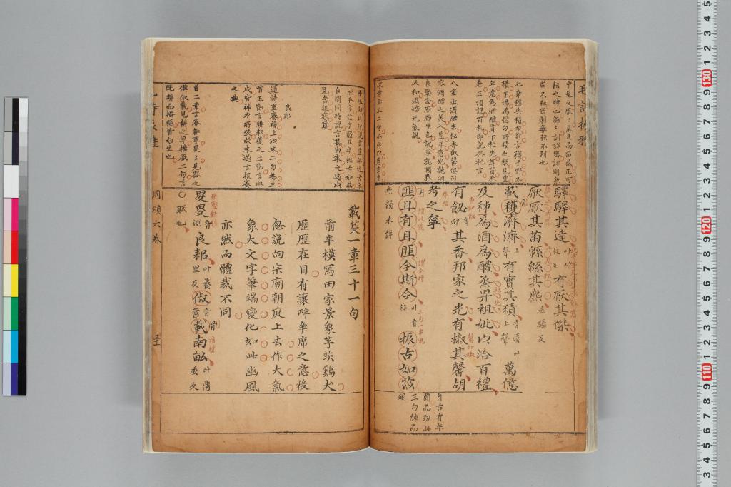 標準画像へ