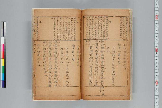拡大画像へ