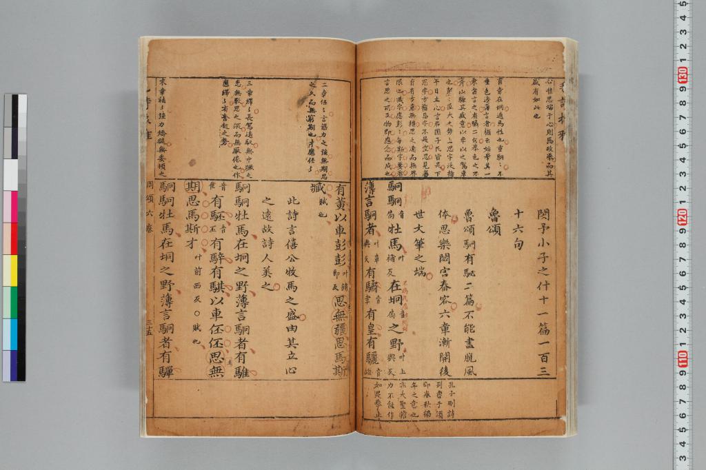 標準画像へ