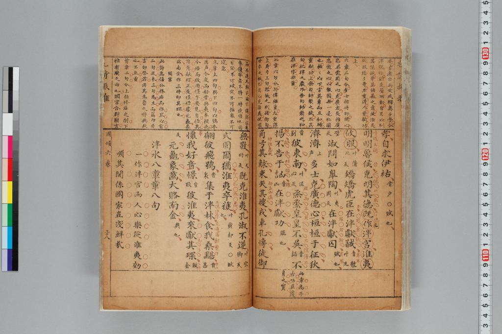 標準画像へ