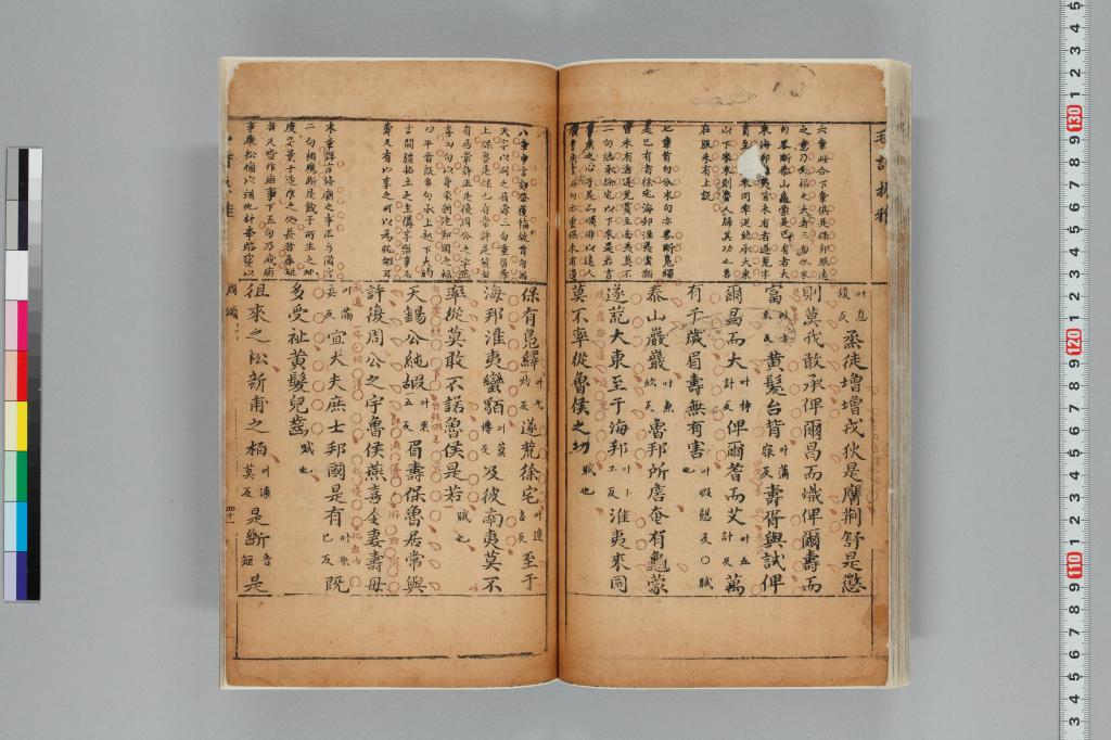 標準画像へ