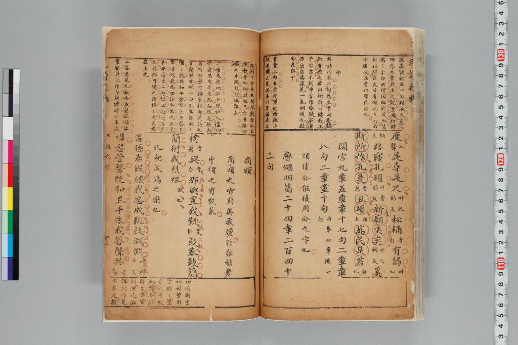 標準画像へ