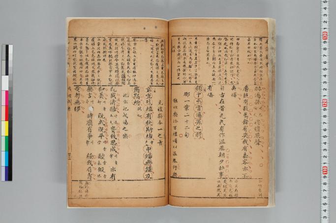 拡大画像へ