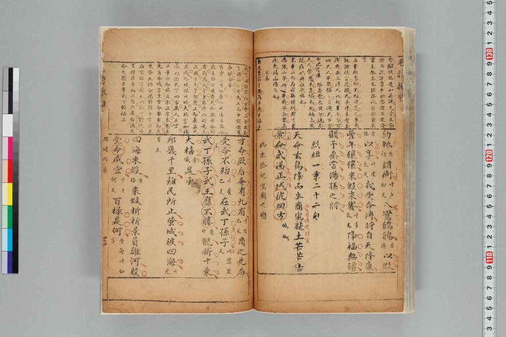 標準画像へ