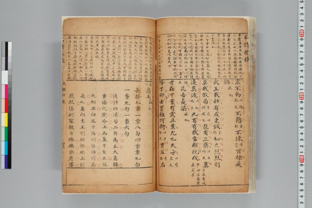 標準画像へ