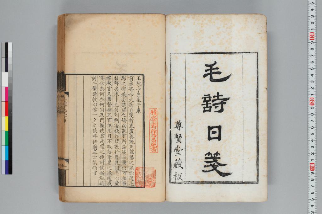 標準画像へ