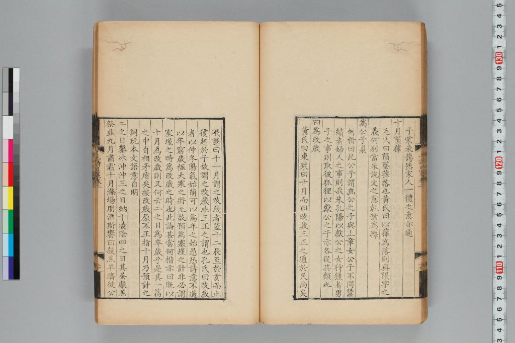 標準画像へ