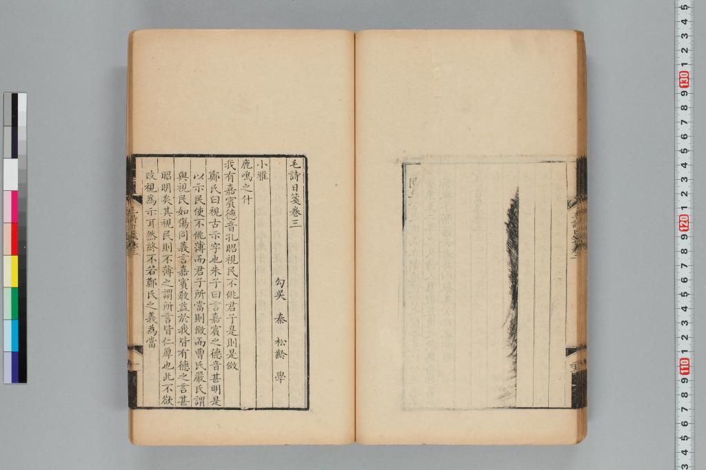 標準画像へ