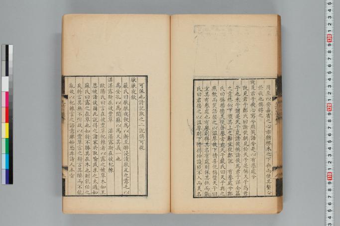 拡大画像へ