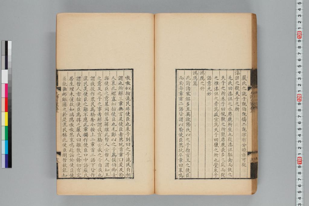 標準画像へ