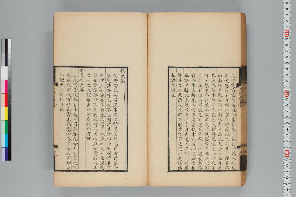 標準画像へ