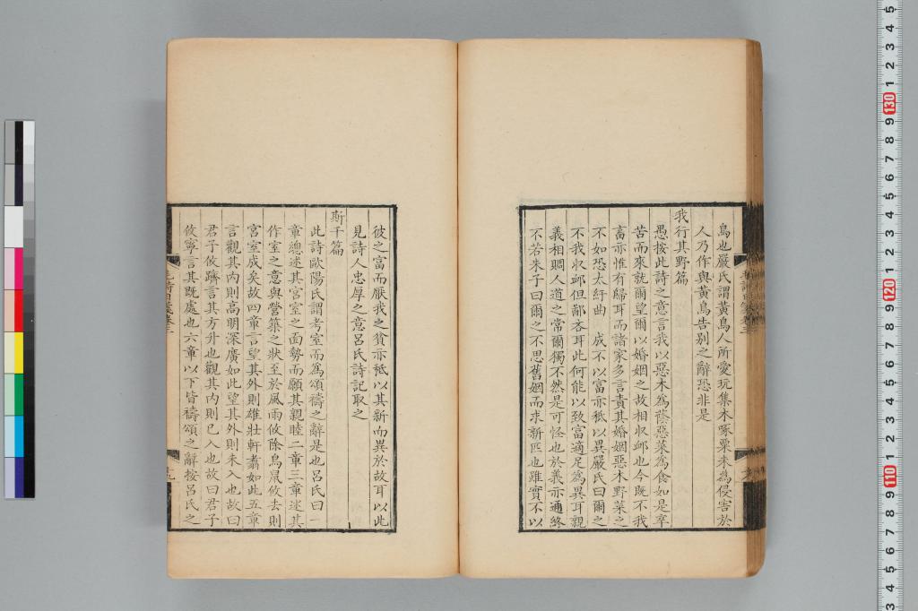 標準画像へ