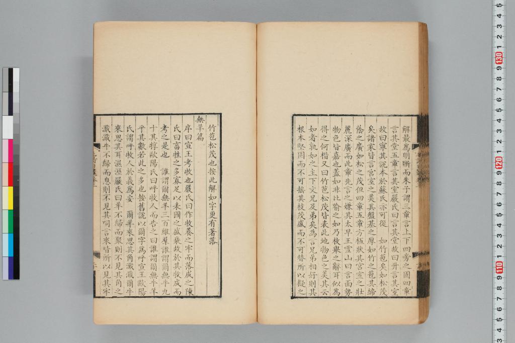 標準画像へ