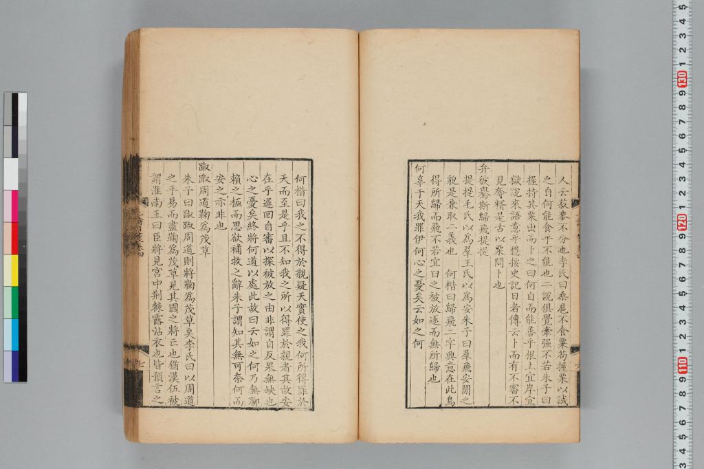 標準画像へ