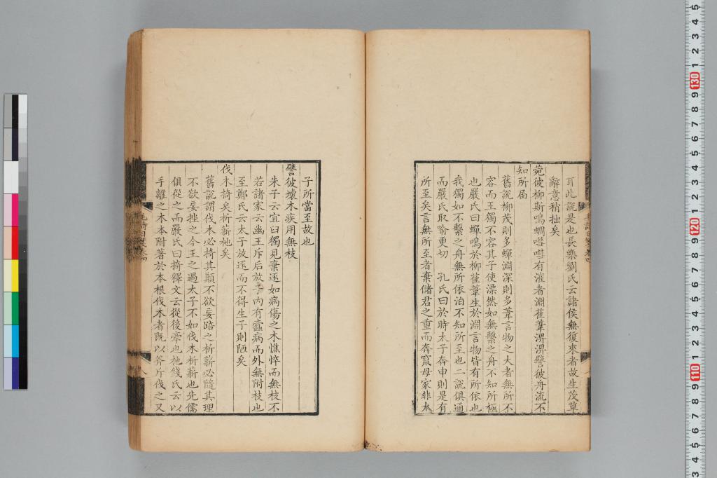標準画像へ