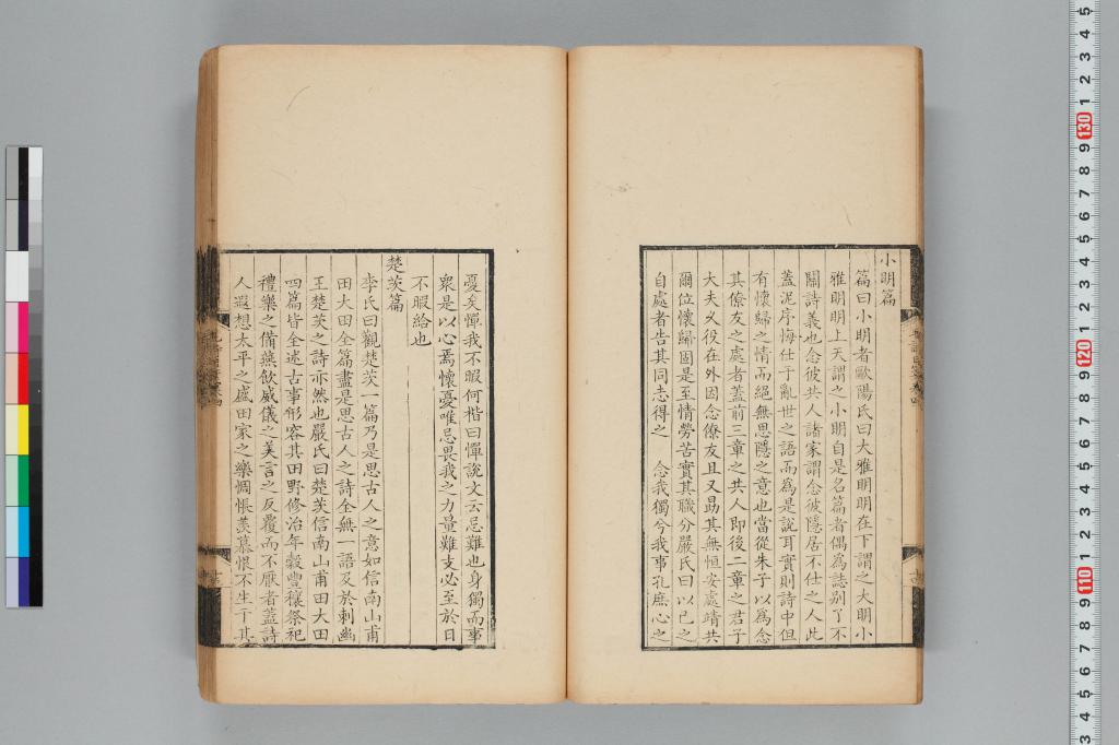 標準画像へ