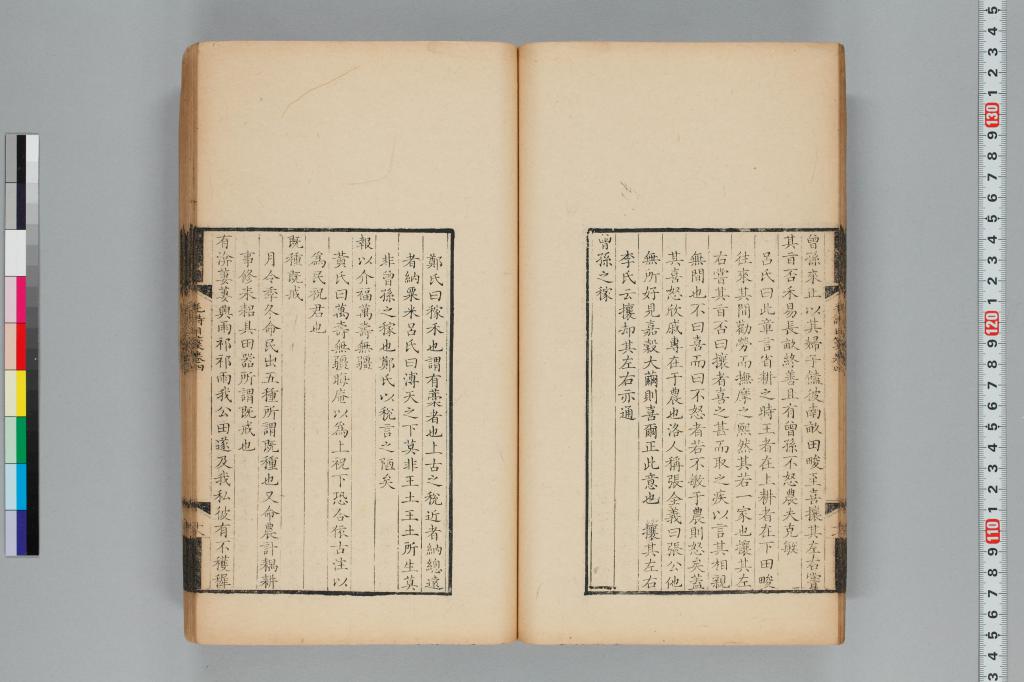 標準画像へ