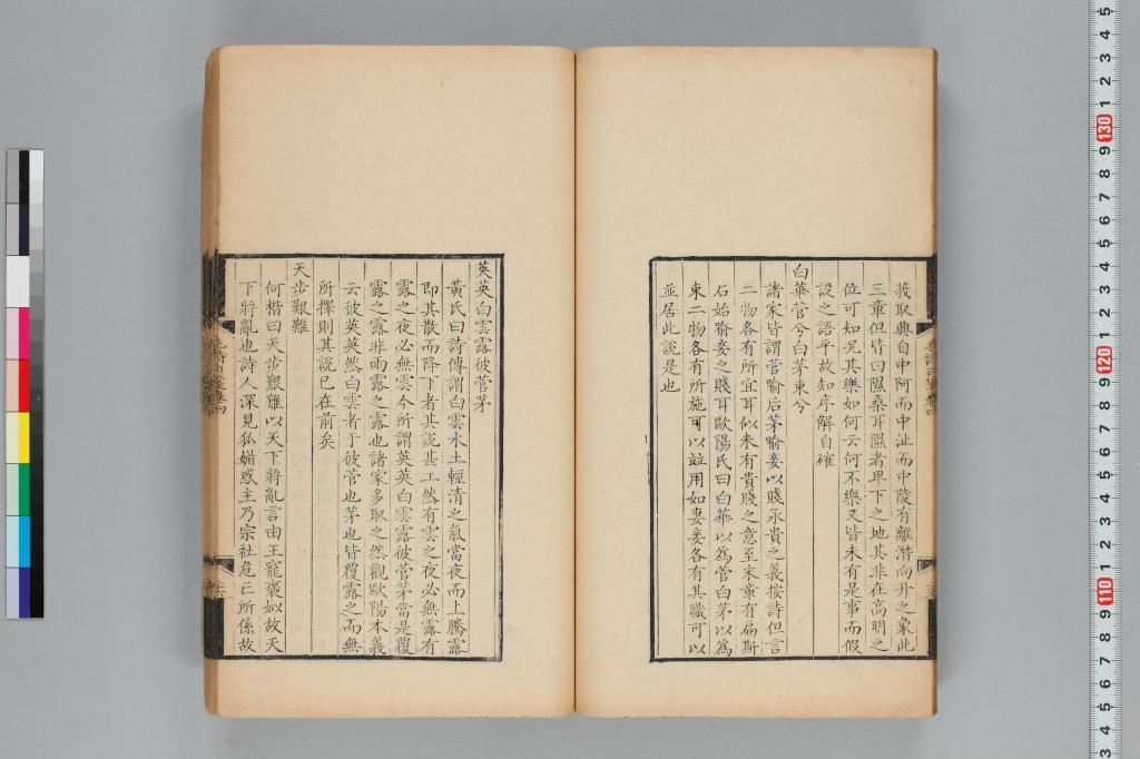 標準画像へ