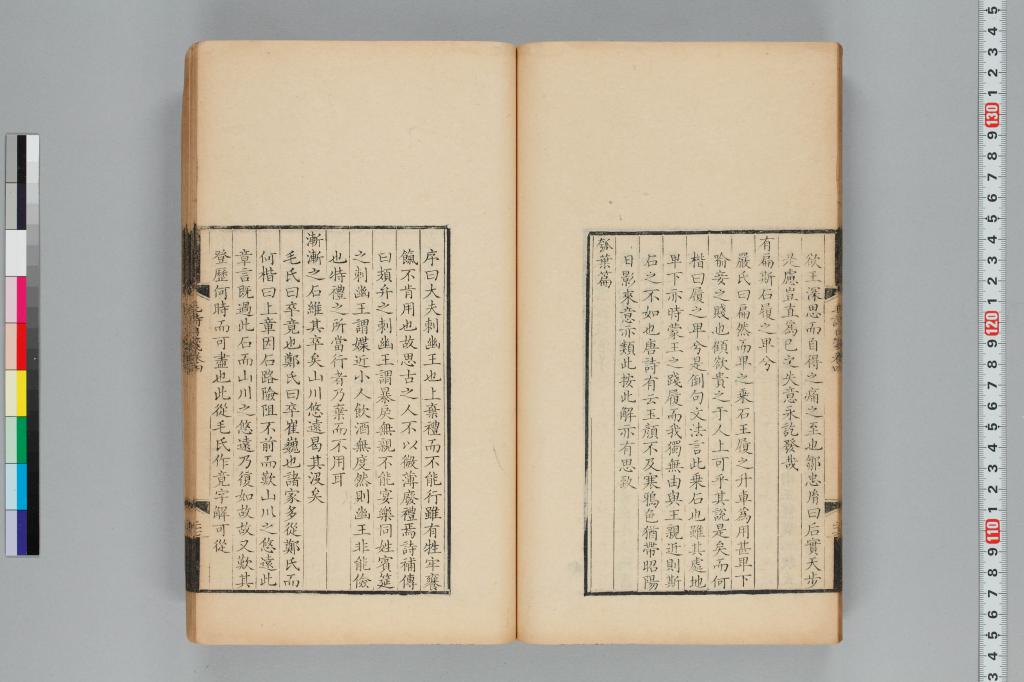 標準画像へ