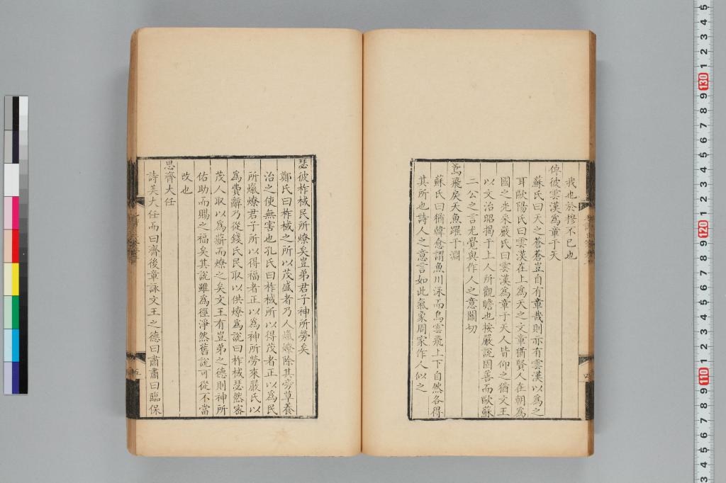 標準画像へ