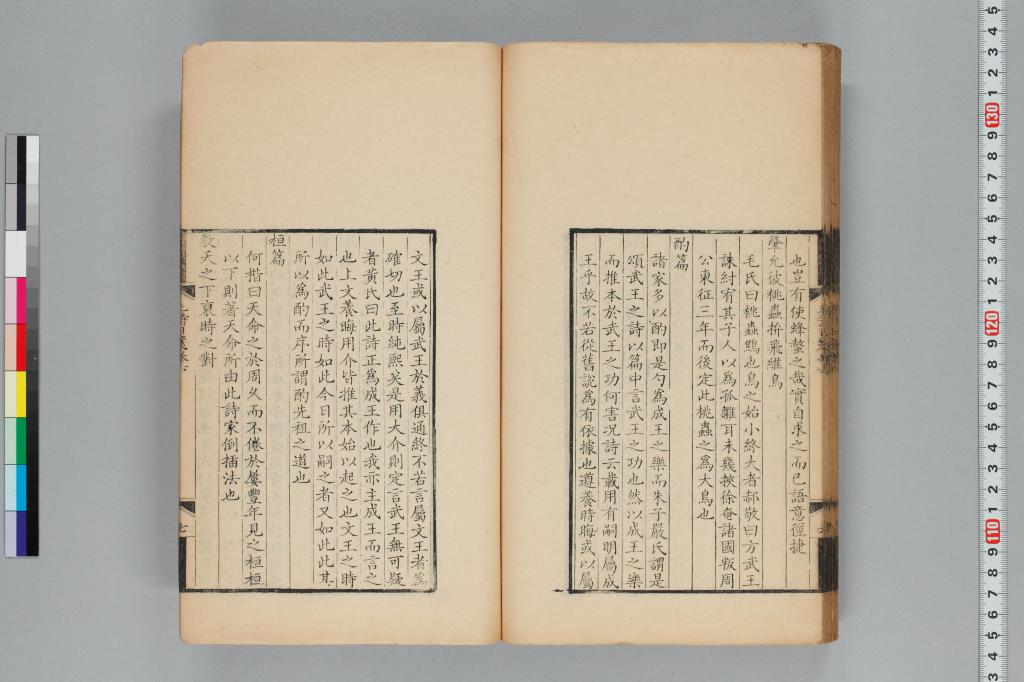 標準画像へ