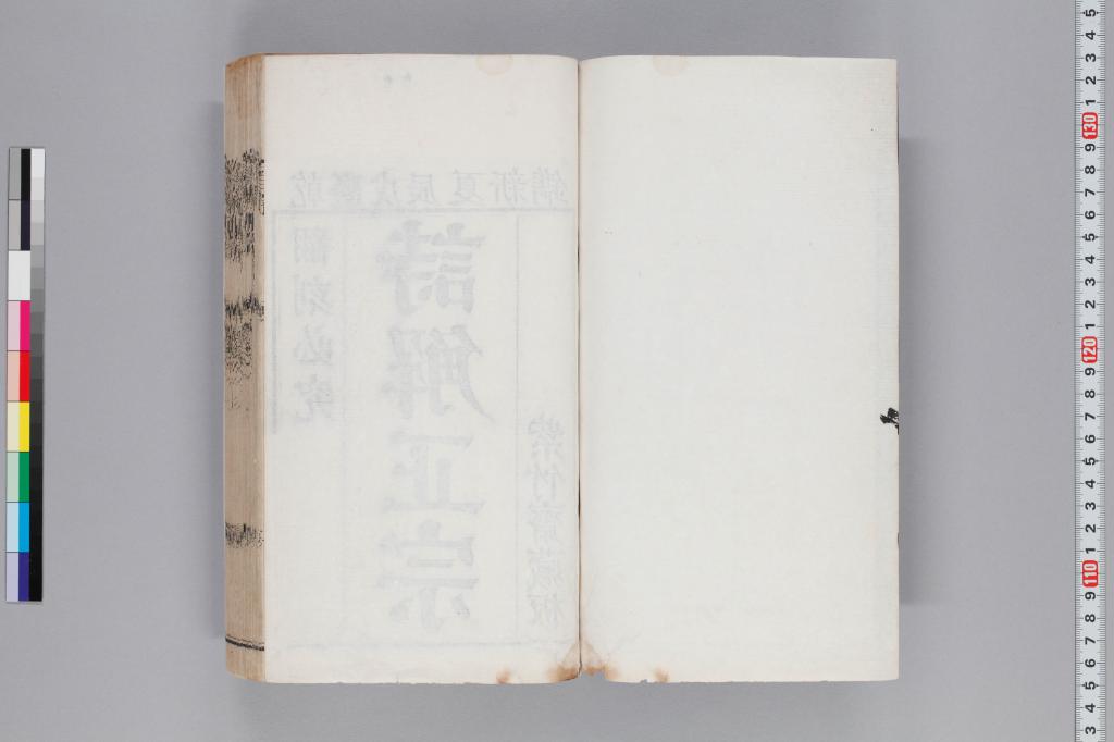 標準画像へ