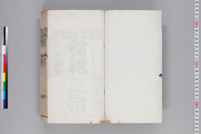 拡大画像へ