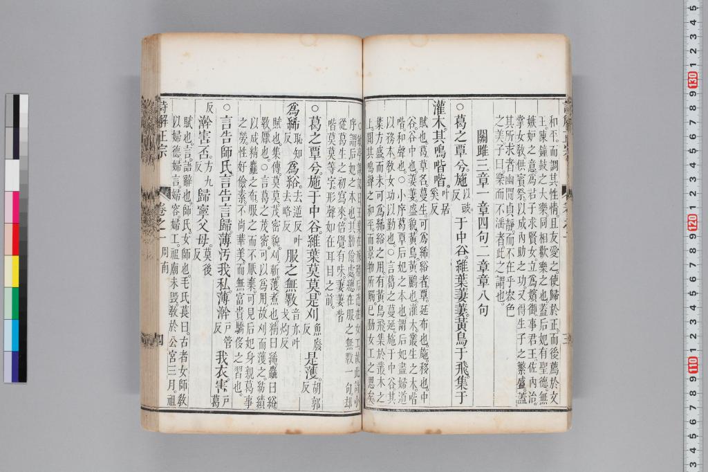 標準画像へ