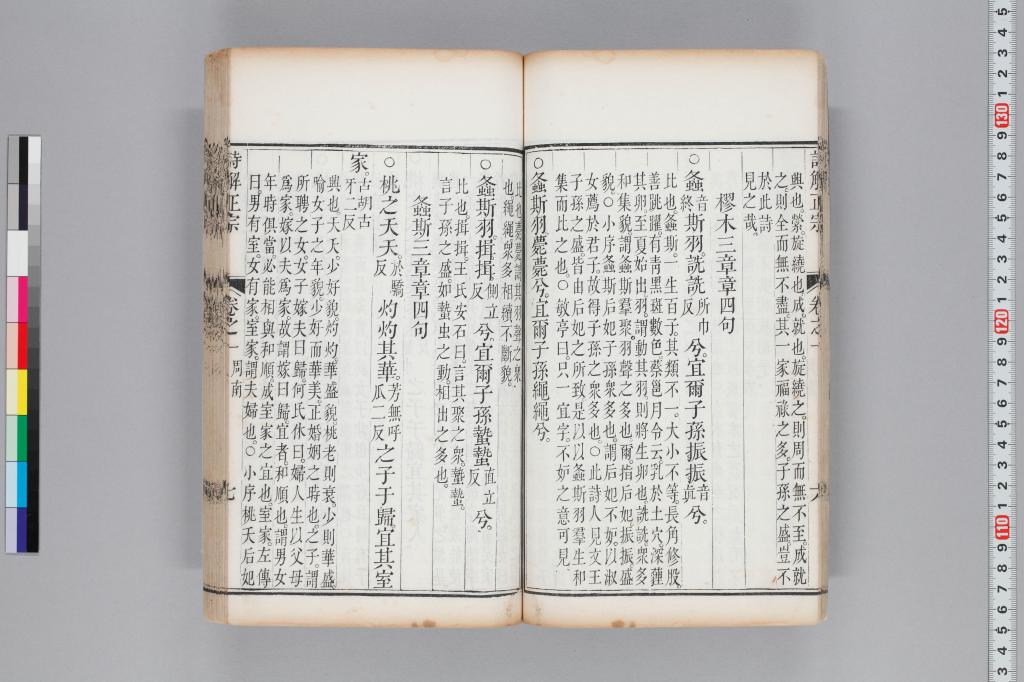 標準画像へ