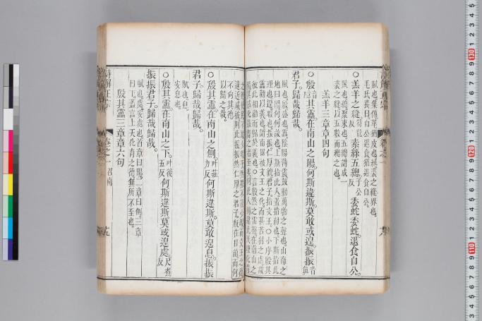 拡大画像へ