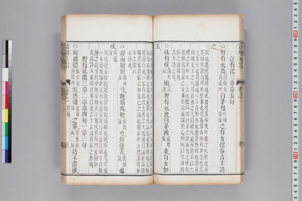 標準画像へ