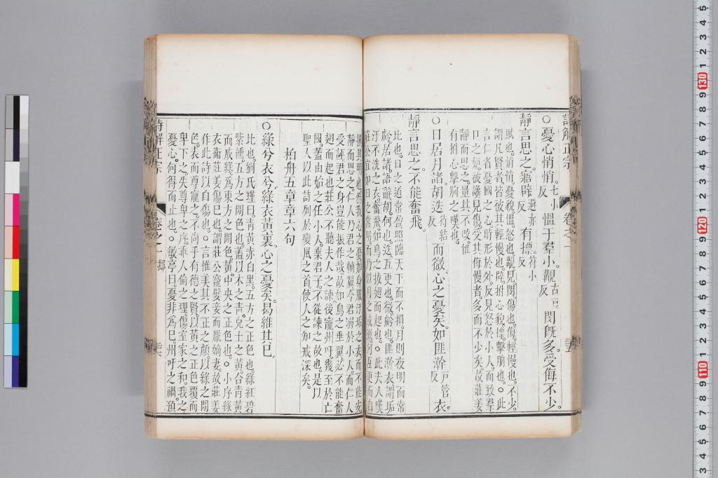 標準画像へ