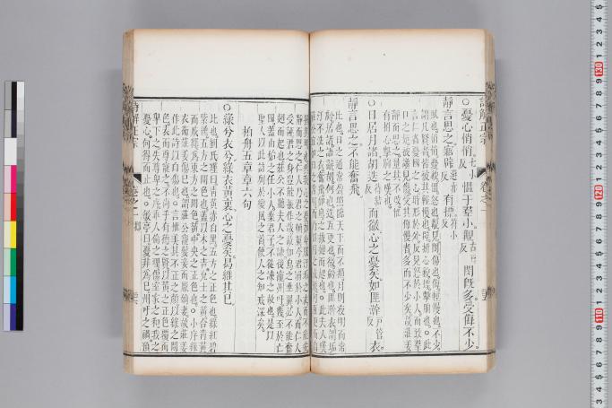 拡大画像へ