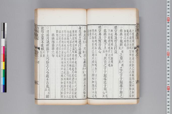 拡大画像へ