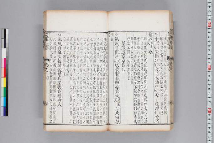 拡大画像へ