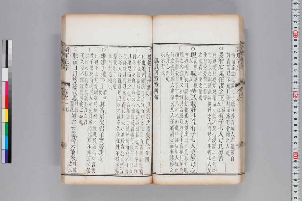 標準画像へ